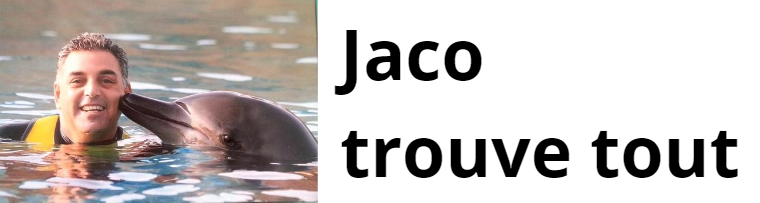 Jaco Trouve Tout